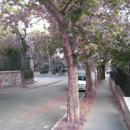 Platan Apartman Budapesta Cameră foto
