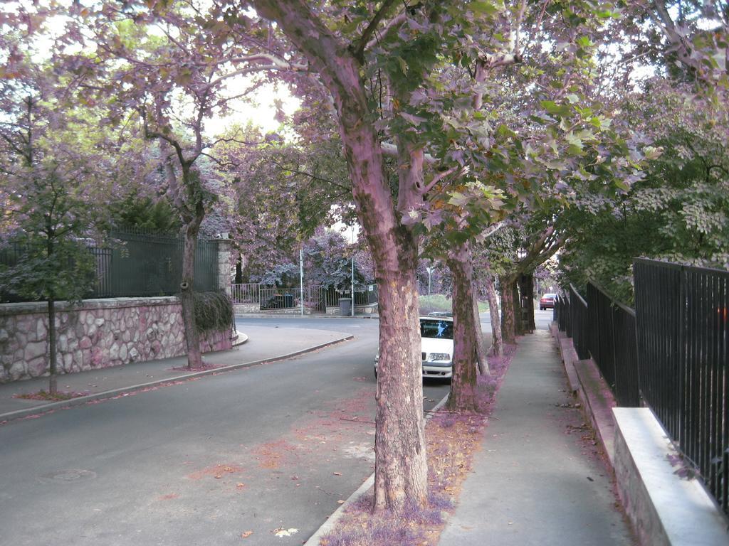 Platan Apartman Budapesta Cameră foto